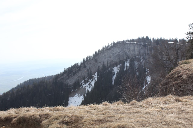 luge d'été